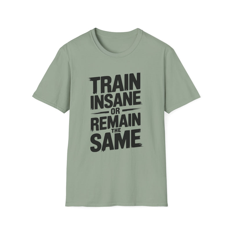 No Pain, No Gain Unisex Softstyle T-Shirt - Motivational Fitness Apparel