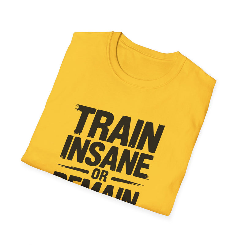 No Pain, No Gain Unisex Softstyle T-Shirt - Motivational Fitness Apparel