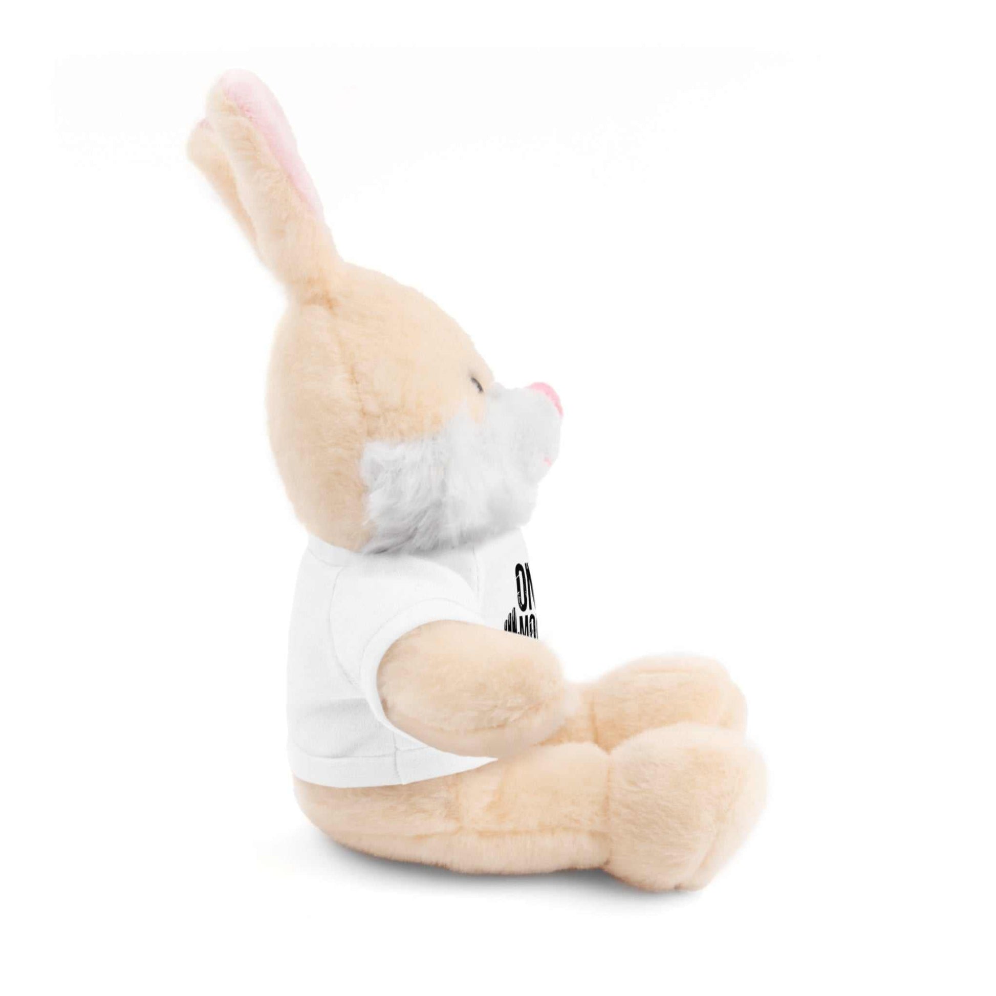 Motivational Workout Teddy Bear