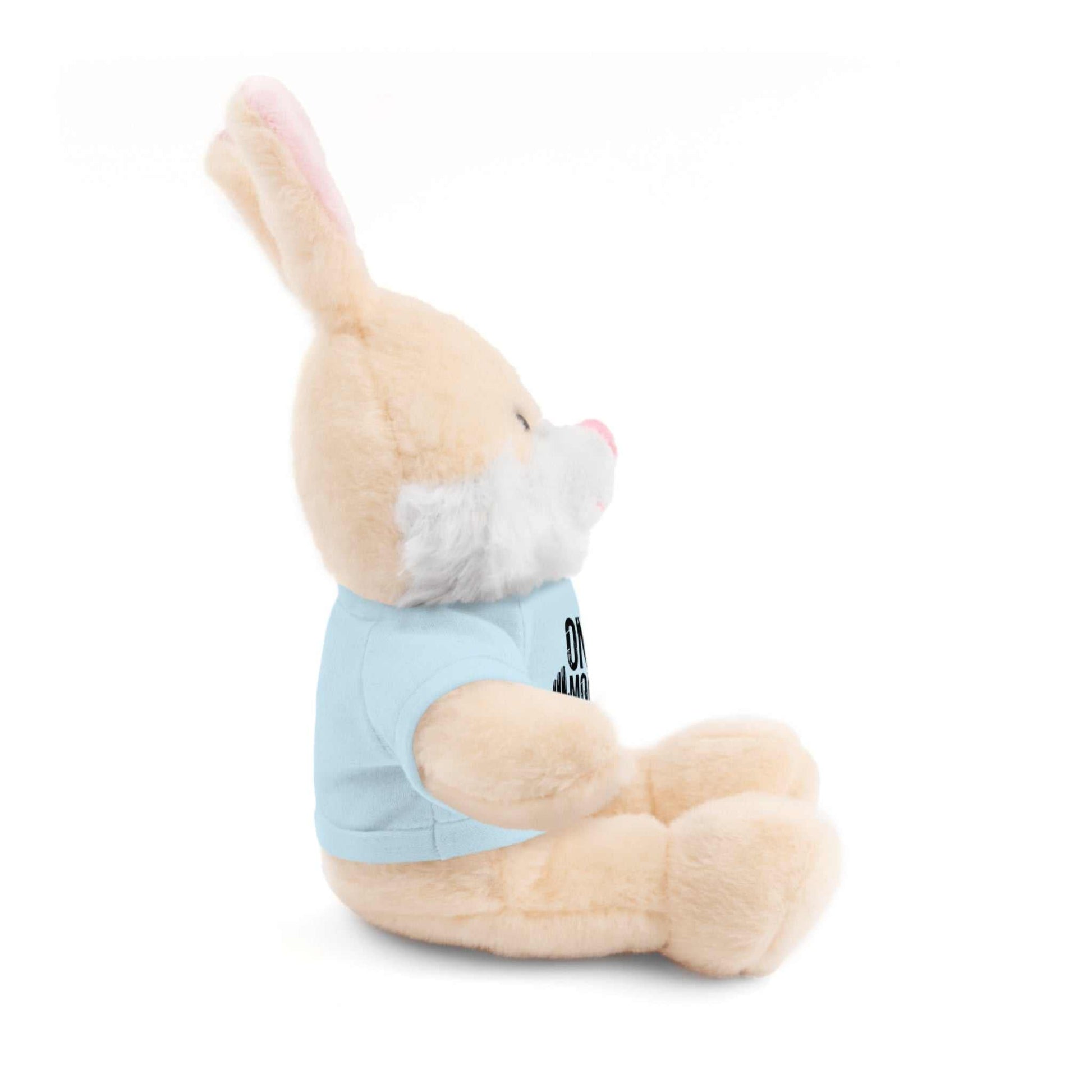Motivational Workout Teddy Bear