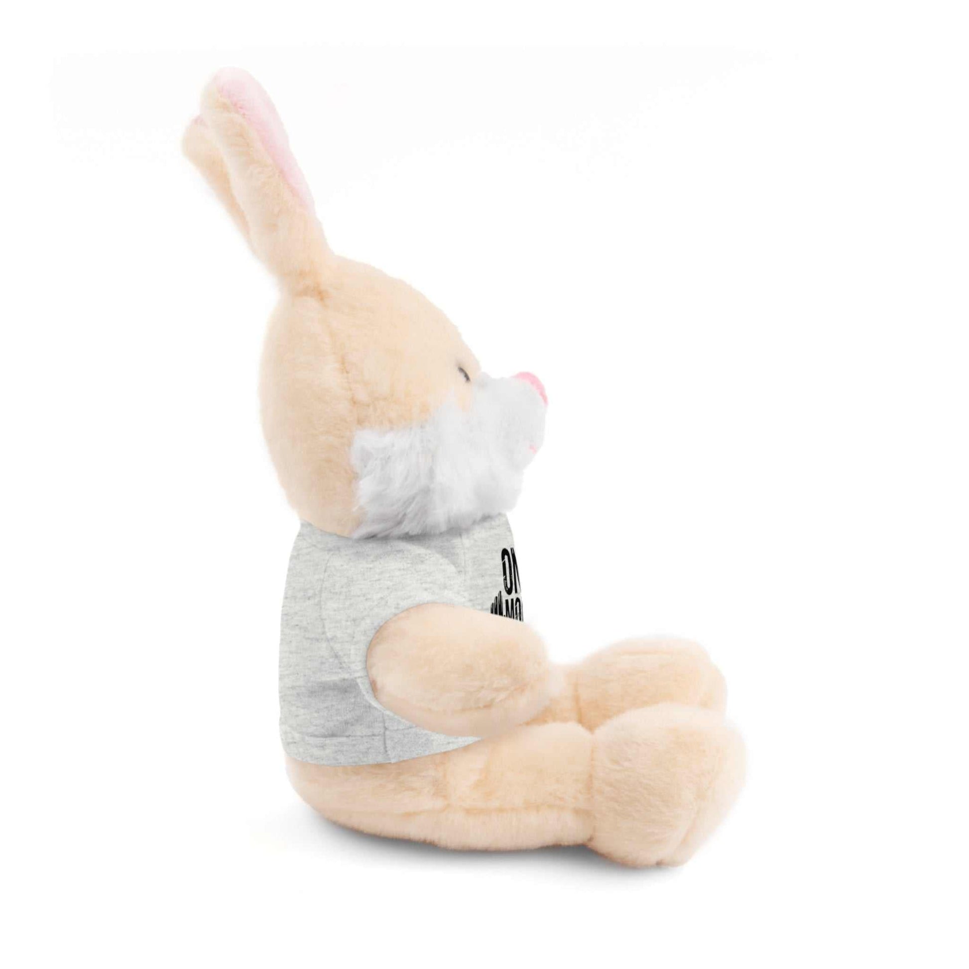Motivational Workout Teddy Bear