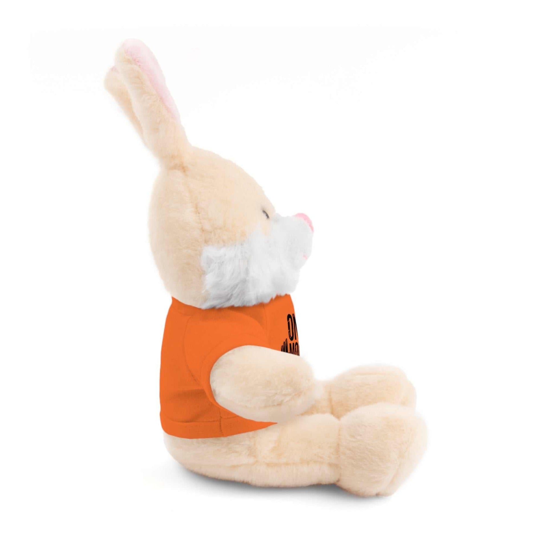 Motivational Workout Teddy Bear