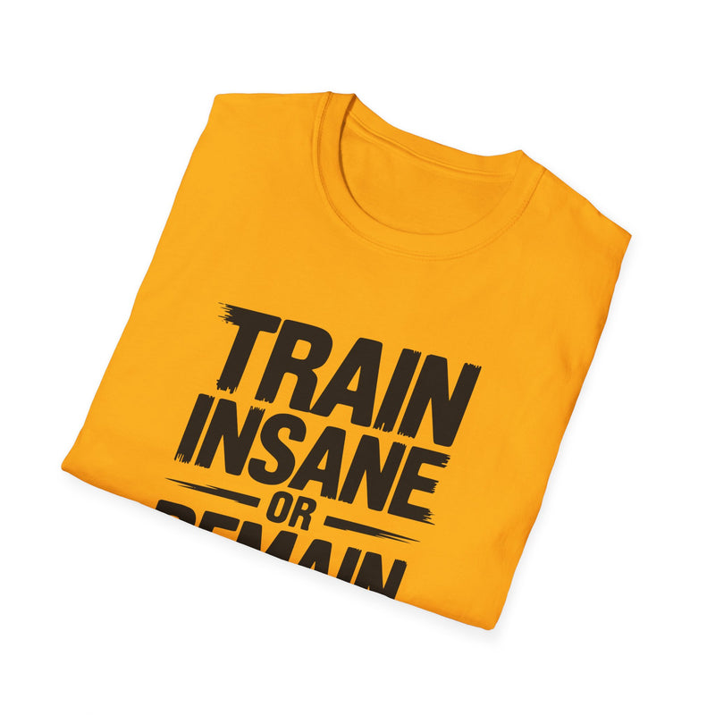 No Pain, No Gain Unisex Softstyle T-Shirt - Motivational Fitness Apparel