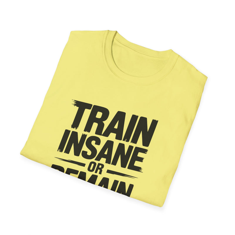 No Pain, No Gain Unisex Softstyle T-Shirt - Motivational Fitness Apparel